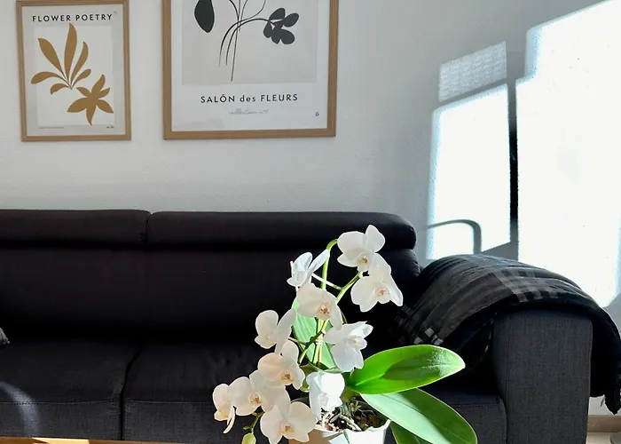 Modernes Zwei-Zimmer-Apartment Chemnitz - Kassberg