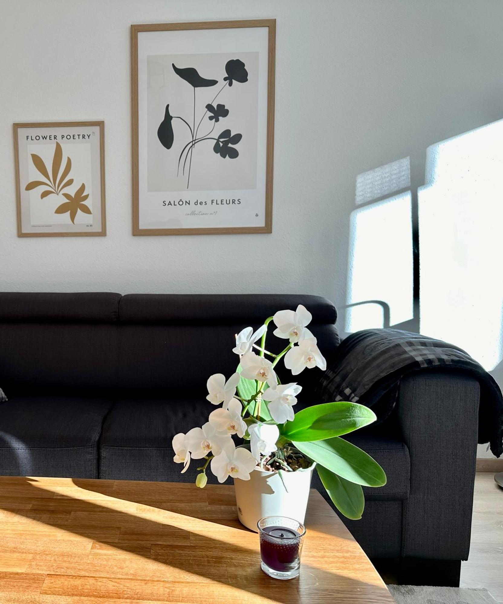 Modernes Zwei-zimmer-apartment - Kassberg Chemnitz